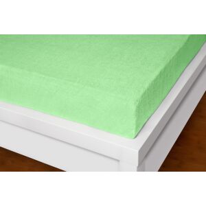 Froté prostěradlo Exclusive světle zelené 220x200 cm